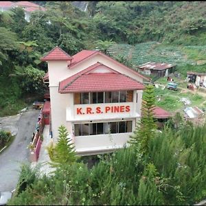 Krs Pines Guesthouse